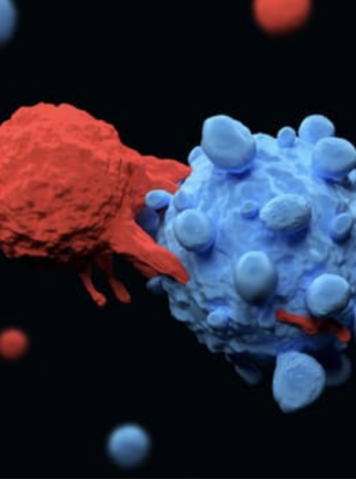 First Patients to Receive Immunotherapy Treatment Are Still Cancer-Free a Decade Later