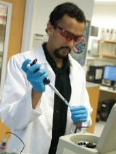 working in lab