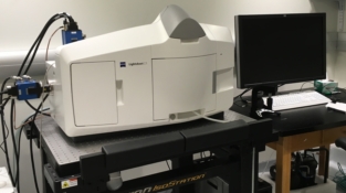 Zeiss Lightsheet
