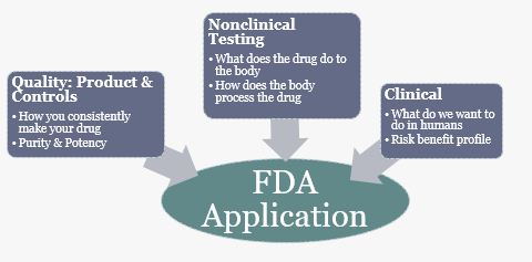 The FDA application includes information about the product quality, such as how the drug is consistently made, its purity and potency; non-clinical testing, such as how the drug affects the body and how the body processes the drug; and clinical information, such as a description of the planned study in humans and the risk-benefit profile. 