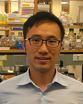 Kelvin Luk, PhD
