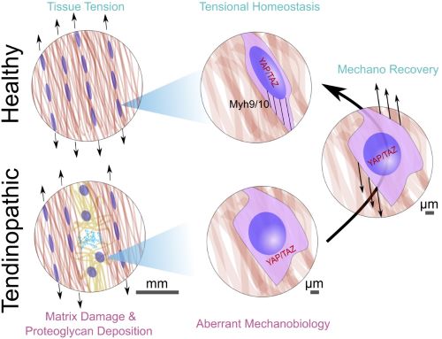 See text for description of Aims of Project 1